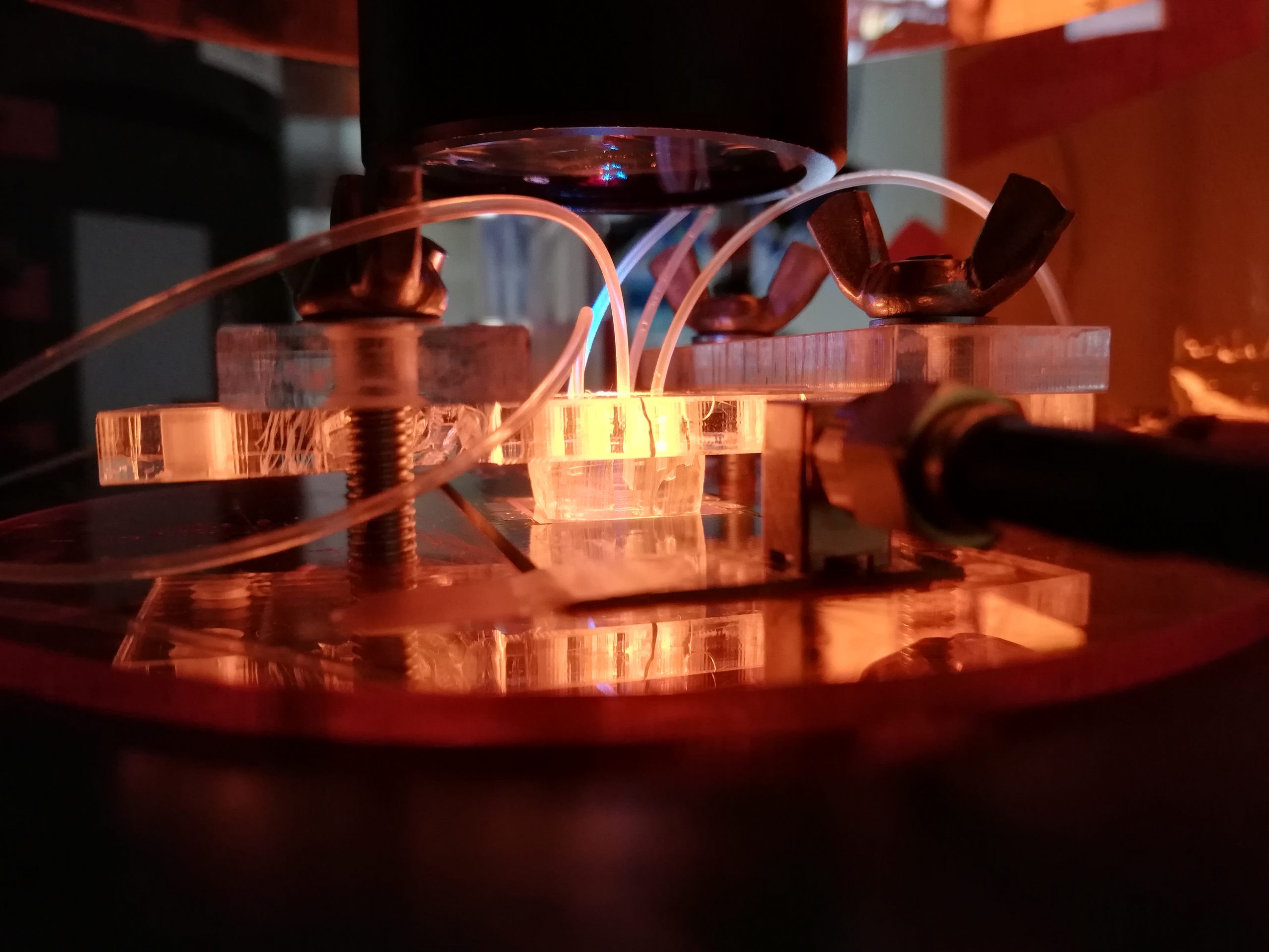 Scientist working with microfluidics in a laboratory