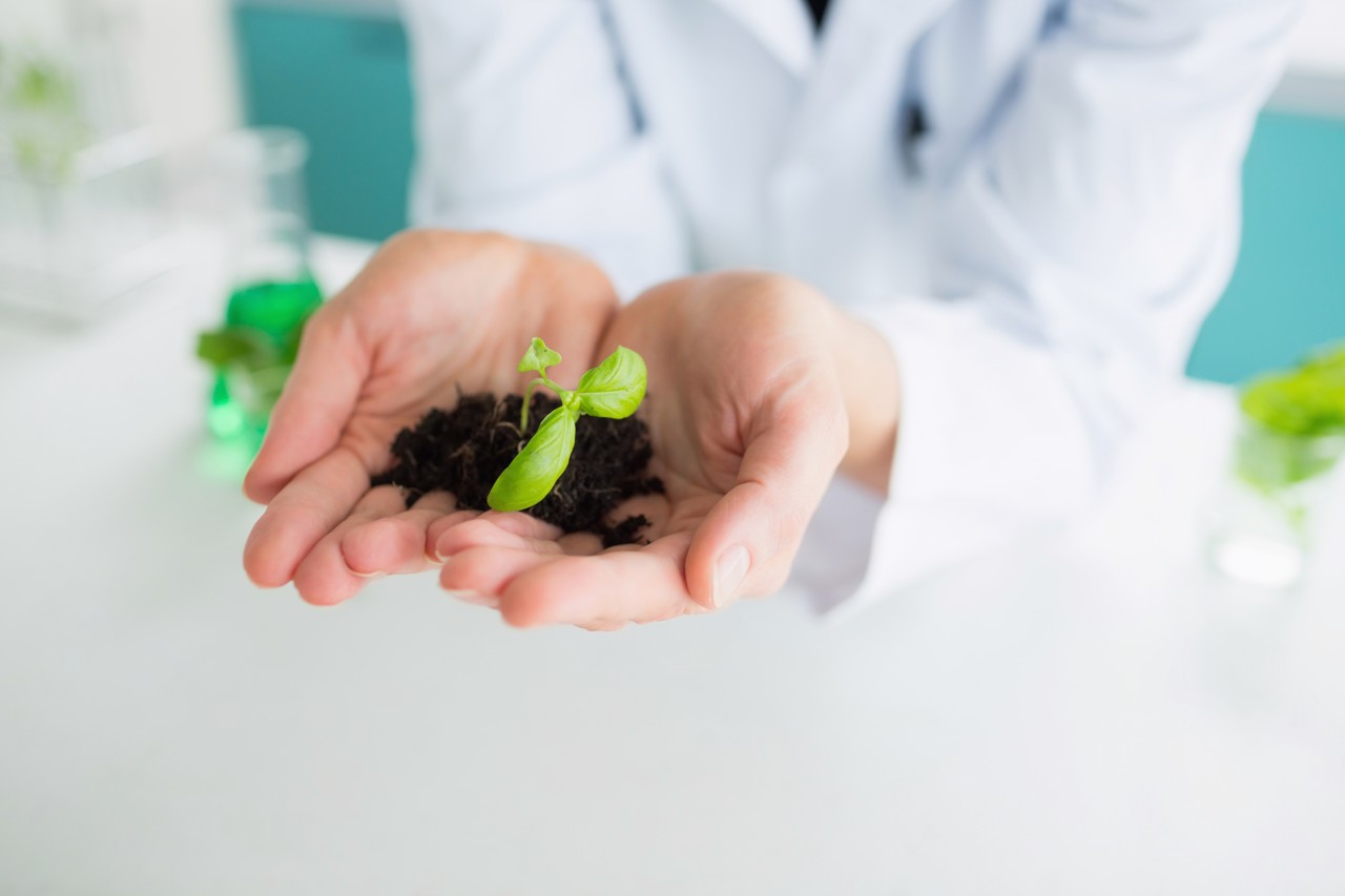 Plant microfluidics laboratory work